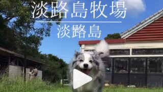 ◀Instagram　リール動画リンク🔗