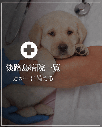 淡路島動物病院一覧(まとめ)