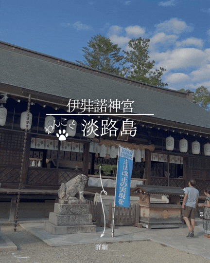 伊弉諾神宮｜犬連れ参拝OK｜大型犬OKの格式ある神宮参拝