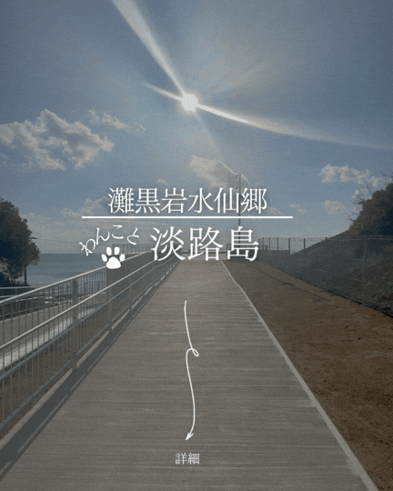 灘黒岩水仙郷｜淡路島で犬連れ観光｜大型犬OKの水仙の絶景スポット