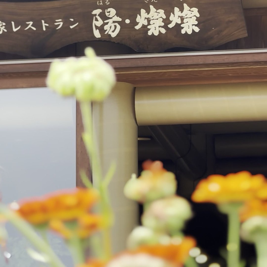 陽・燦々 看板と畑の花 オレンジの花 淡路島 犬連れ