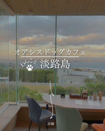 オアシスドッグカフェ｜淡路島で犬連れランチ＆ドッグラン｜淡路市の人気スポット
