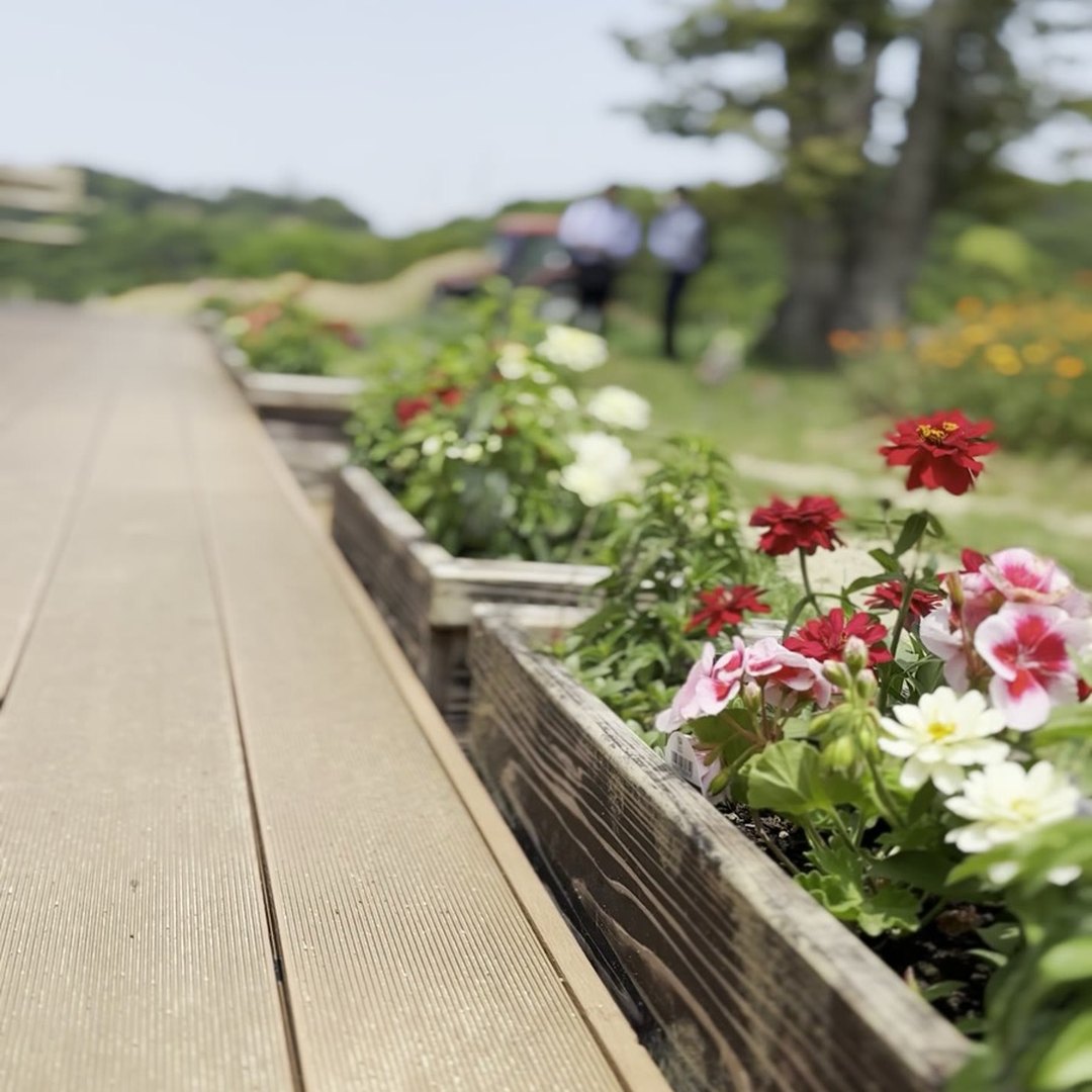 陽・燦々 テラスの花 ウッドデッキ 淡路島 犬連れOK