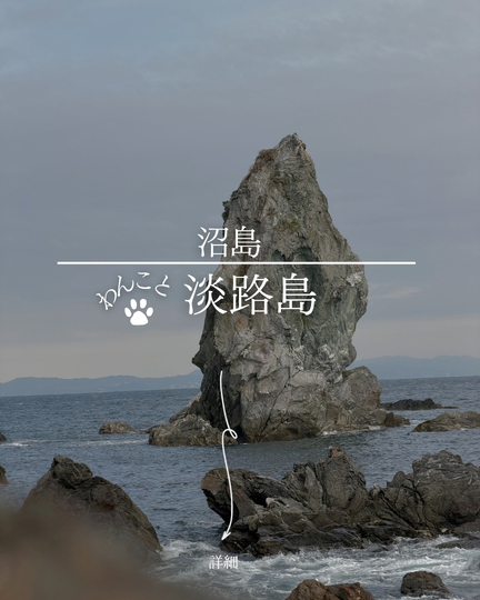 沼島｜淡路島の犬連れスポット