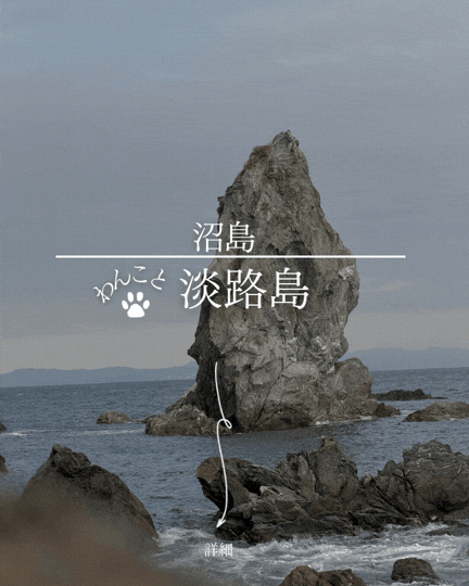 沼島（ぬしま）で犬連れ観光！淡路島から行ける離島の日帰りモデルコース完全ガイド