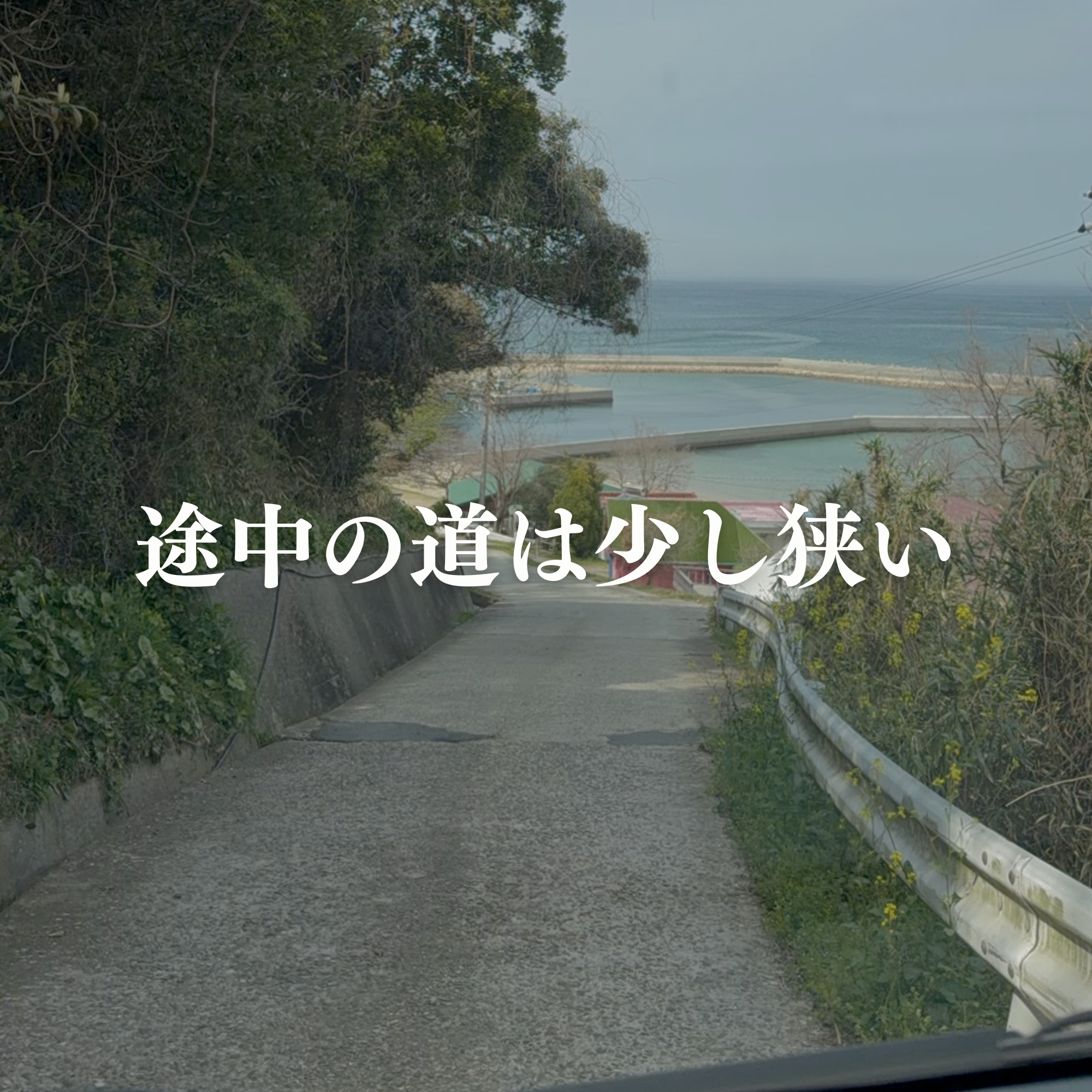 CAFE ROSA へのアクセス道 途中の道は少し狭い 淡路島