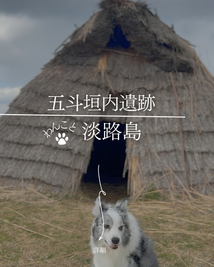 五斗長垣内遺跡｜淡路島の犬連れスポット