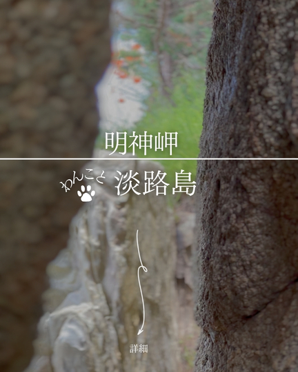 明神岬（西濱神社）｜淡路島の犬連れスポット