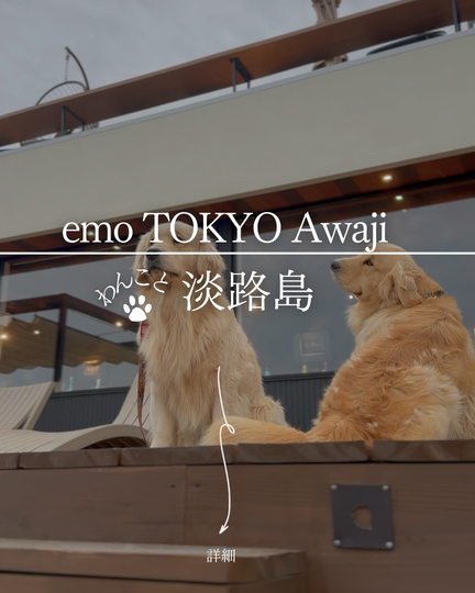 emo TOKYO Awaji｜淡路島の犬連れスポット