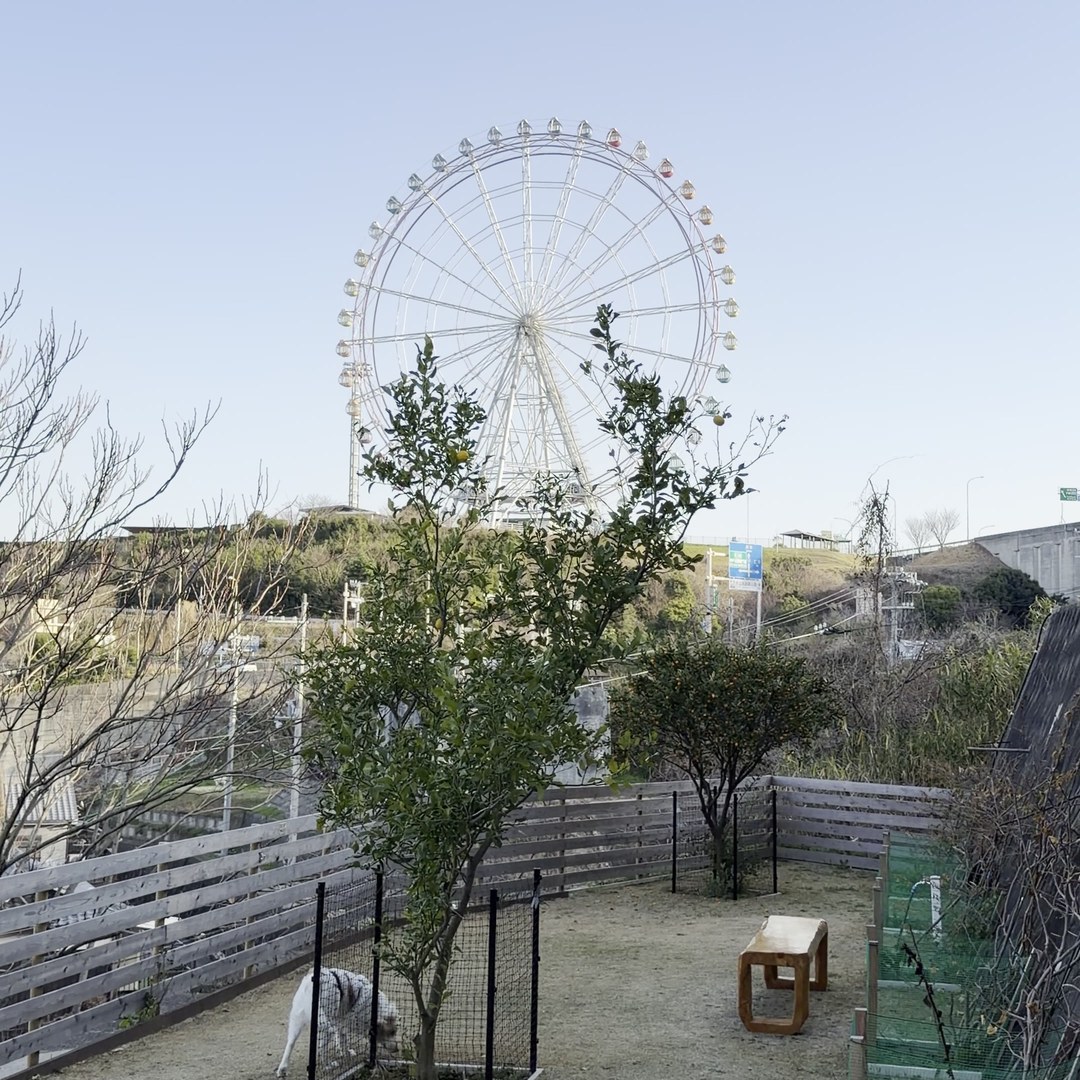 ドッグランから観覧車が見える +Lei Kitchen 淡路島