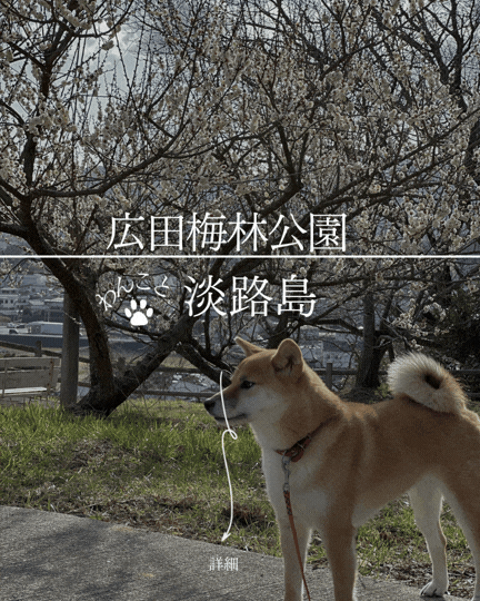 広田梅林ふれあい公園｜南あわじ市の梅の名所、約450本の梅と犬と歩く春の小径