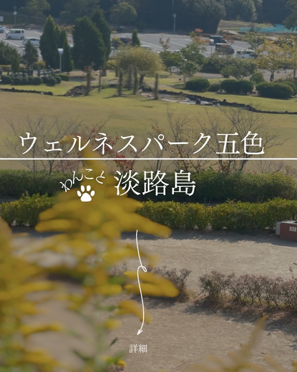 ウェルネスパーク五色｜洲本・五色町、ドッグラン併設の総合公園、温泉・宿泊・キャンプも