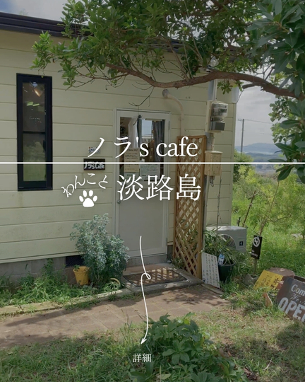 ノラ’s cafe｜淡路島の犬連れドッグランカフェ・ワンコメニュー＆無農薬ランチ