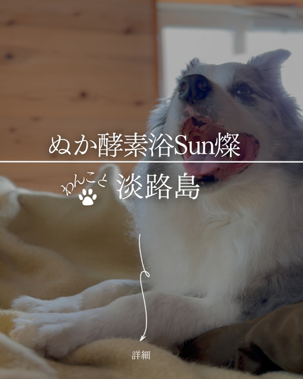 ぬか酵素Sun燦｜淡路島の犬連れ酵素風呂・ペット専用浴で愛犬と一緒にデトックス