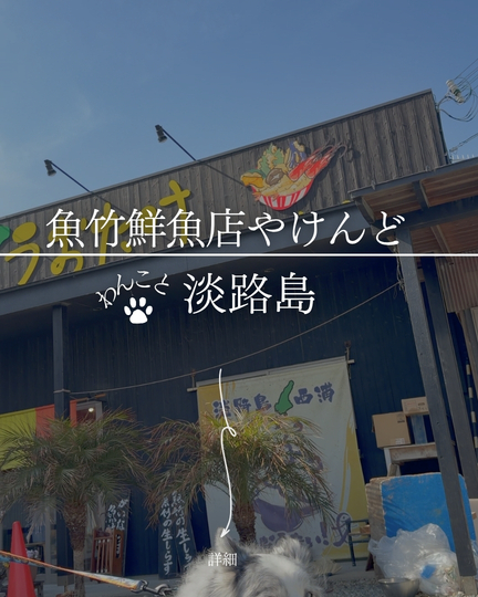 うおたけ鮮魚店やけんど｜淡路島の犬連れランチ・海辺テラス10種海鮮丼＆牛島焼肉