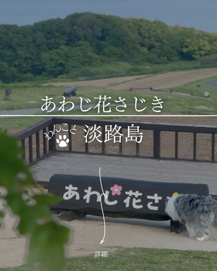あわじ花さじき｜淡路島の犬連れドッグラン×絶景お花畑・無料の友愛の丘