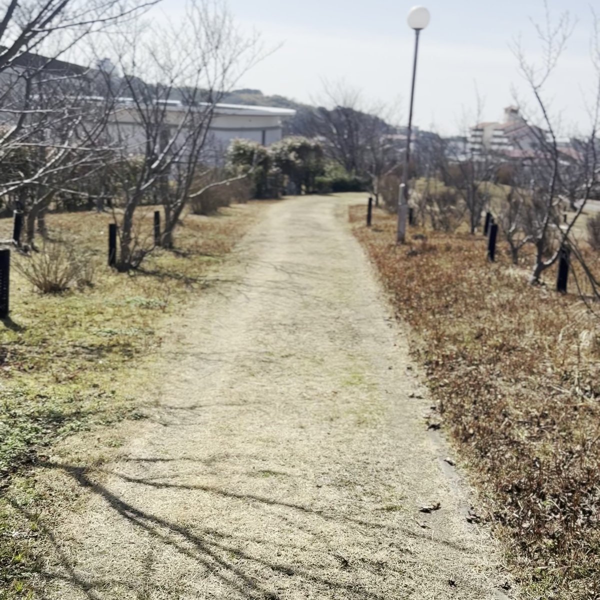 AWAJI EARTH MUSEUM 周辺の道 淡路市小倉 北淡震災記念公園 淡路島