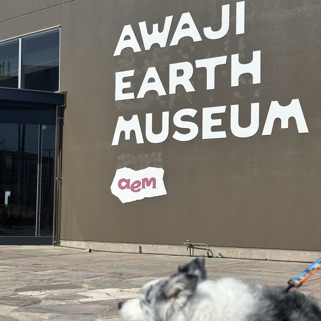 AWAJI EARTH MUSEUM 犬連れ 大型犬OK テラス席 淡路島 体験型ミュージアム