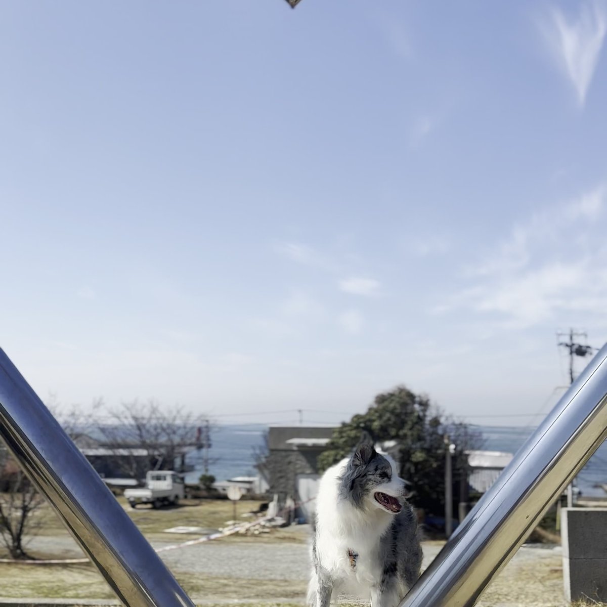 AWAJI EARTH MUSEUM ハートオブジェ フォトスポット 犬連れ 淡路島