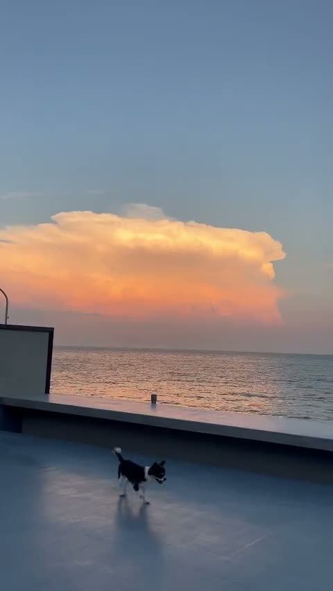 淡路鯛 空（くう） 淡路ICから2分・大阪湾を一望する屋上テラス