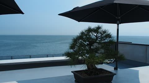 淡路鯛 空（くう） 犬連れ淡路島ドライブの起点・終点に最適