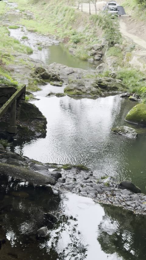 鮎屋の滝 舗装路100m・愛犬と歩きやすい遊歩道