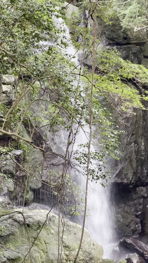 鮎屋の森・鮎屋川ダム——ハイキング上級コース