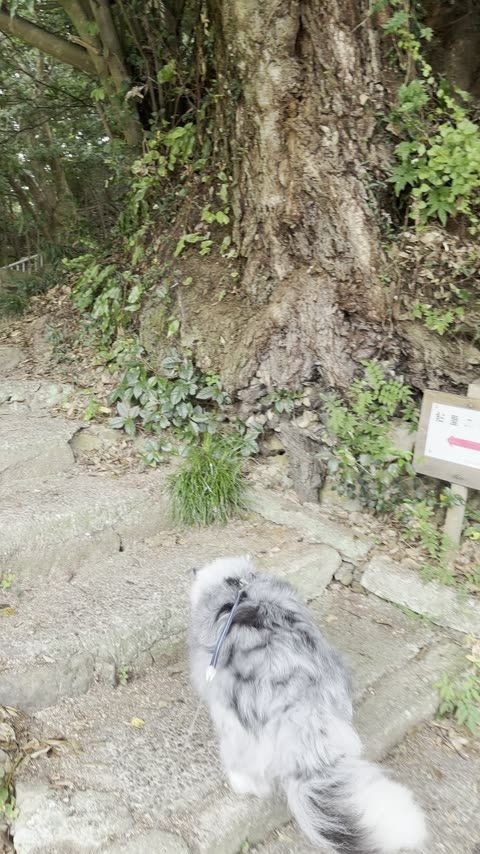 RVパーク・キャンプとの組み合わせ