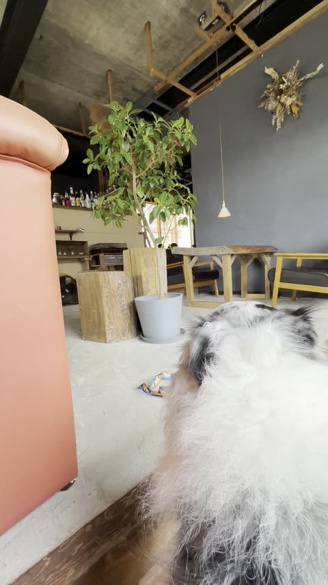 cafe SPARK 自家焙煎スペシャルティコーヒーが主役