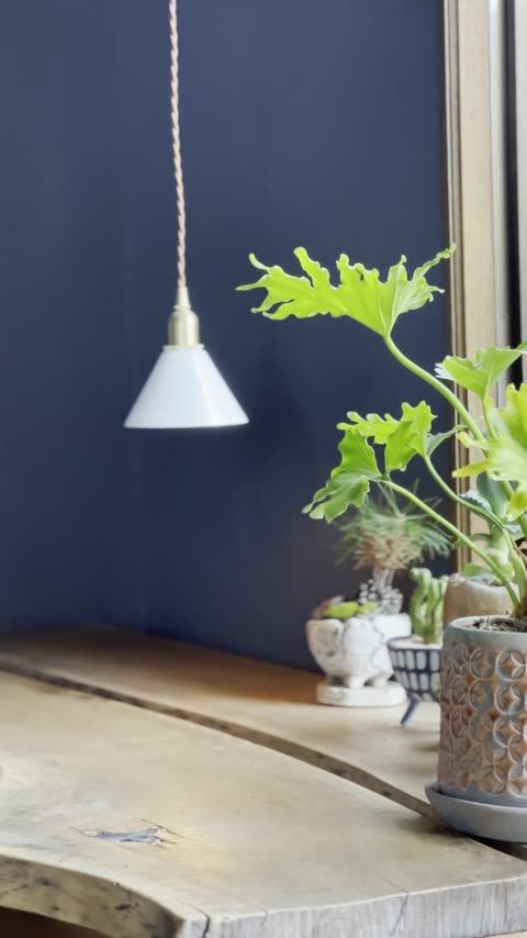 cafe SPARK 夜はBARタイム、犬と過ごす大人の時間