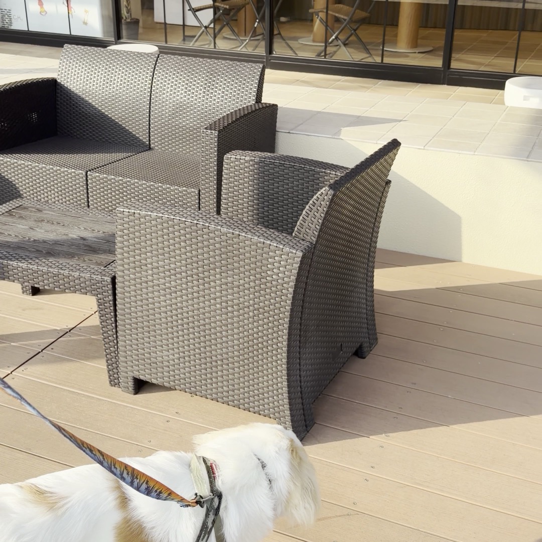 テラスでわんこと過ごす