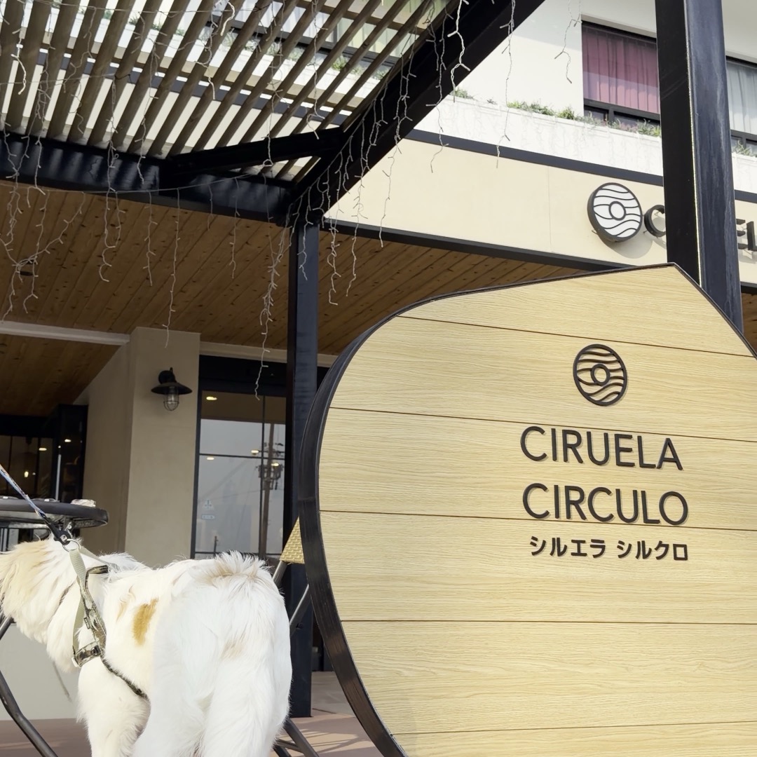 わんこと店頭の木製サイン