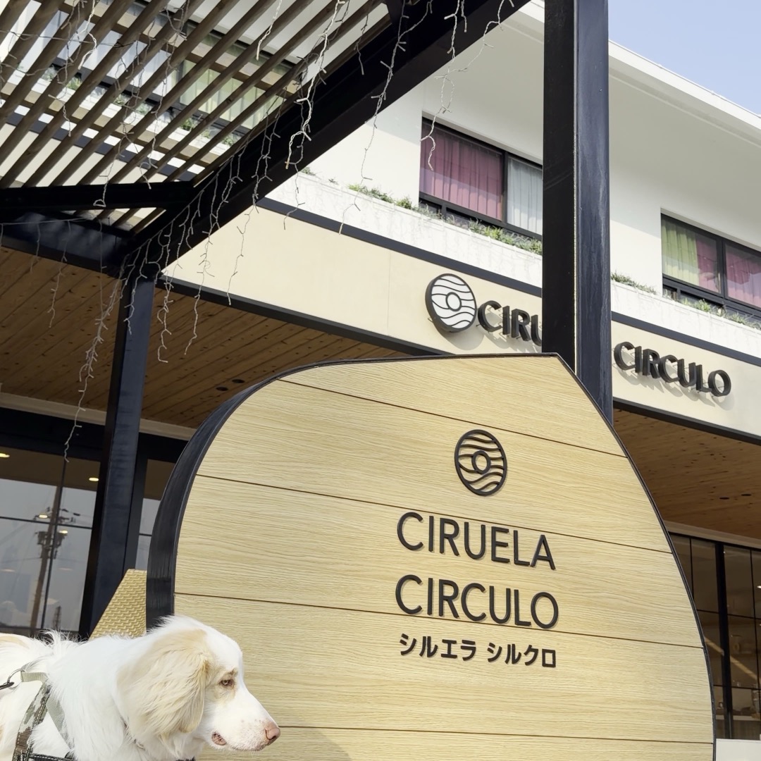 シルエラシルクロ わんこフォト