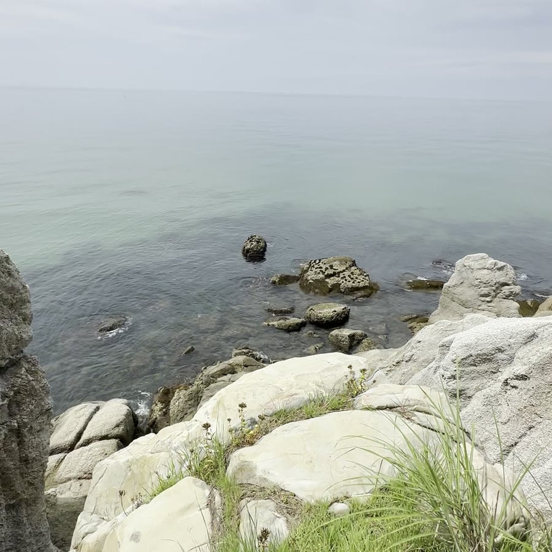 明神岬（西濱神社）｜犬連れで行ける淡路島西海岸のパワースポット｜駐車場無料【淡路と犬 No.67】