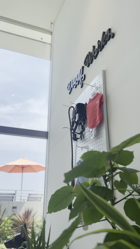 DOGGYWORKS アクアイグニス淡路島内・本格ドッグギア専門店