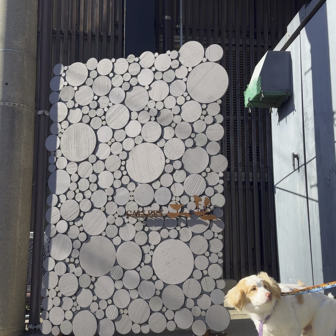 Gallery土坐 入口アートウォールと愛犬