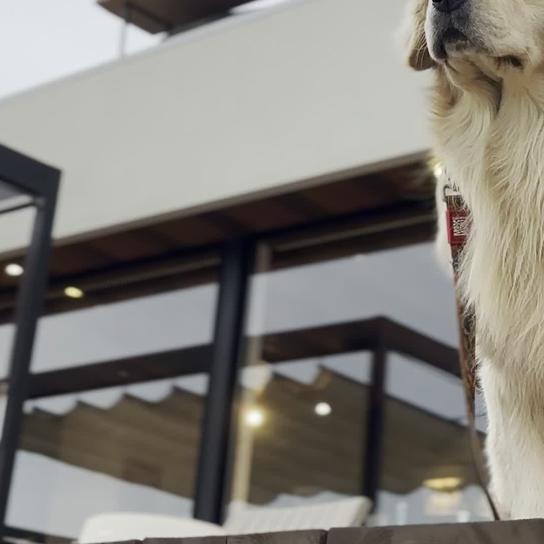 emo TOKYO Awaji 夕日 海 絶景 淡路島 西海岸