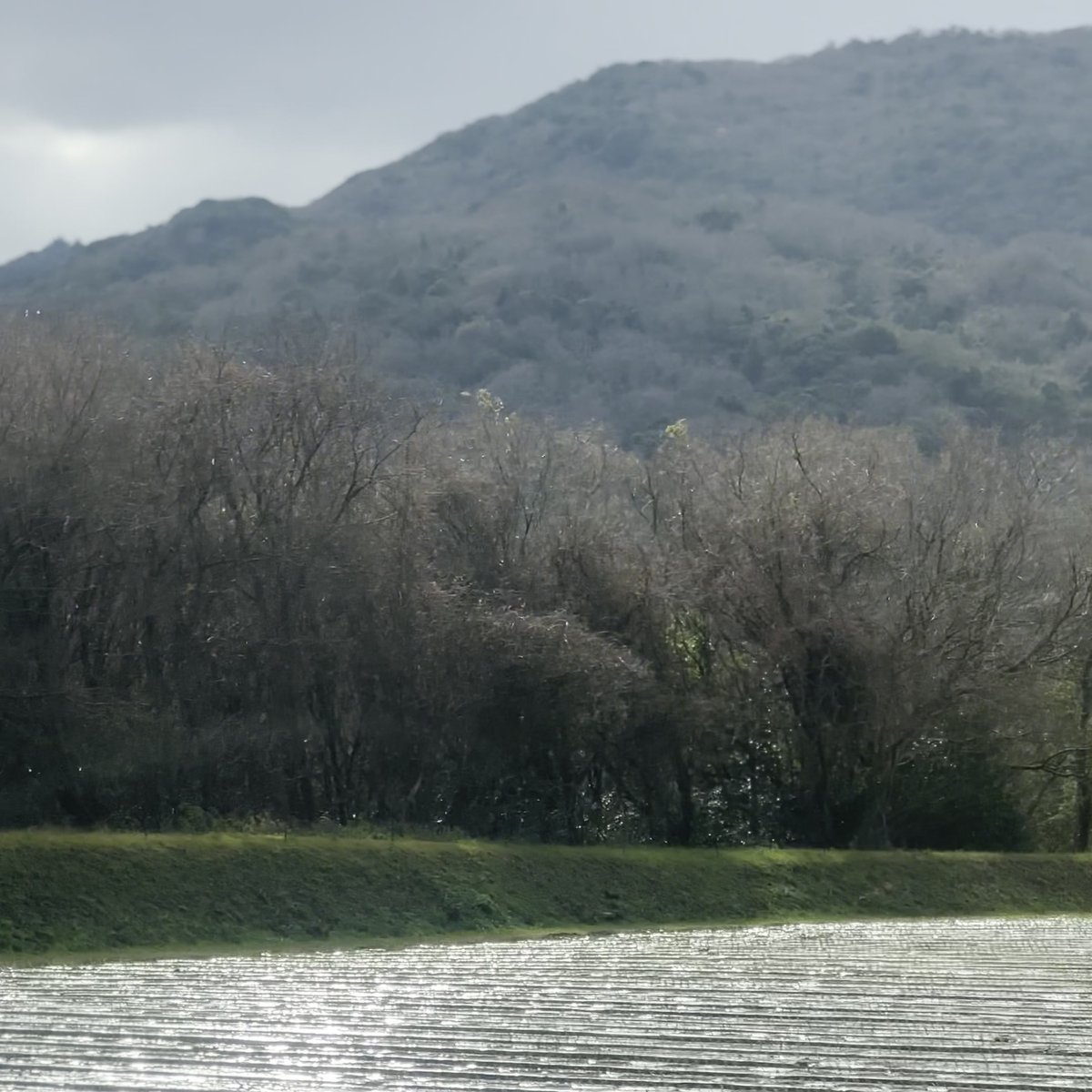 五斗長垣内遺跡 周辺道路 淡路市 山間