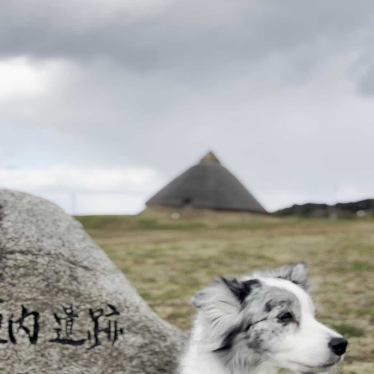 五斗長垣内遺跡 石碑 犬 国史跡 Gossa Historic Remains