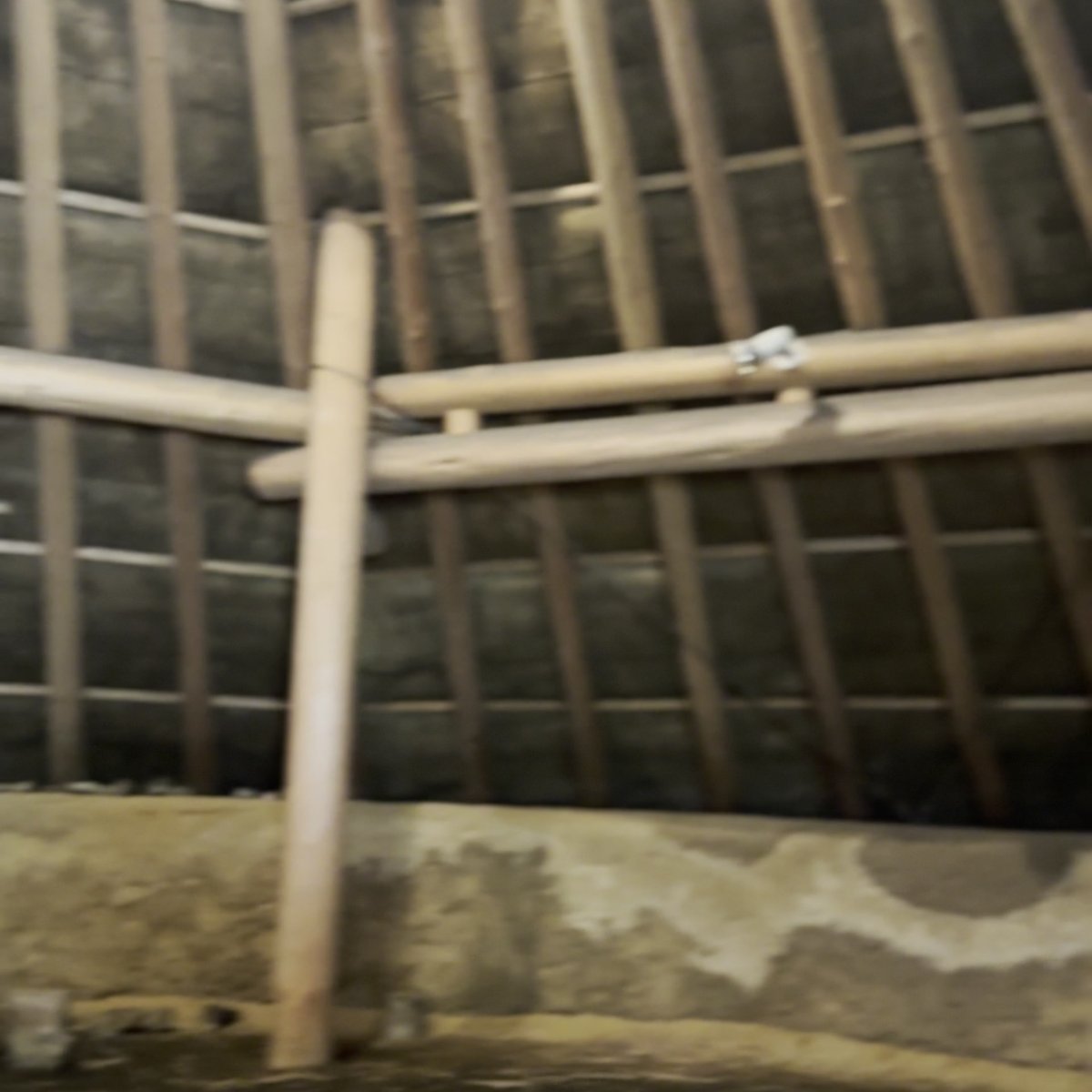 五斗長垣内遺跡 竪穴建物 内部 犬と一緒に 淡路島