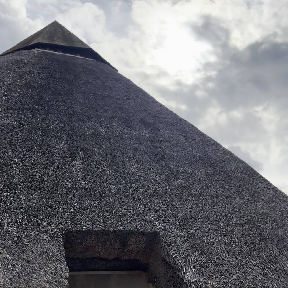 五斗長垣内遺跡 竪穴建物 アップ 茅葺き屋根