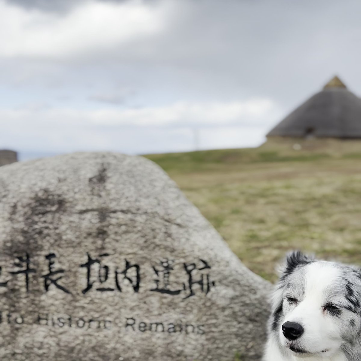 五斗長垣内遺跡 淡路島 犬連れOK スポット紹介 No.73