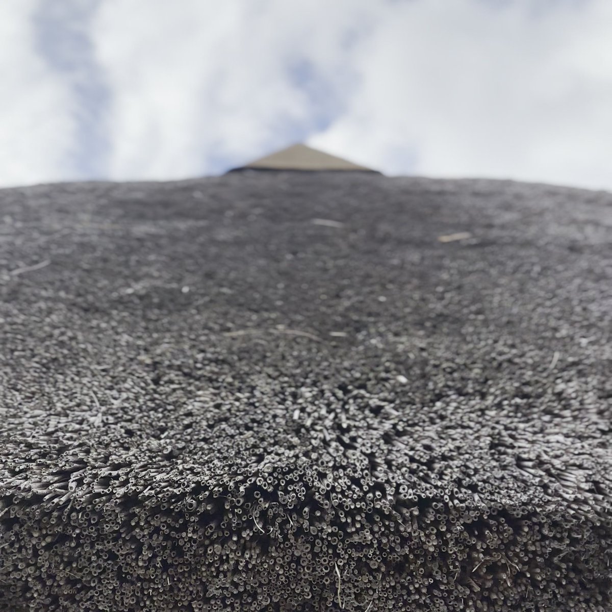 五斗長垣内遺跡 高台 海 景色 眺望 淡路島