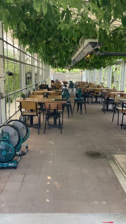 BBQ完全予約制・バーガーBBQとステーキBBQ