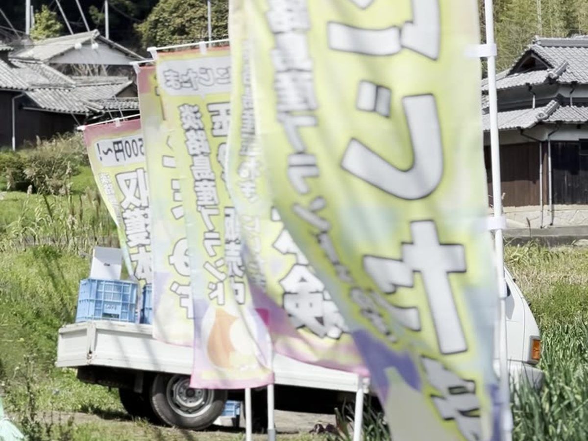 ハピニコファーム のぼり 新玉ねぎ 500円 路傍販売