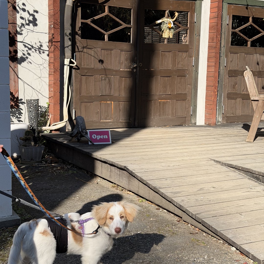 愛犬と IN THE HOUSE 外観