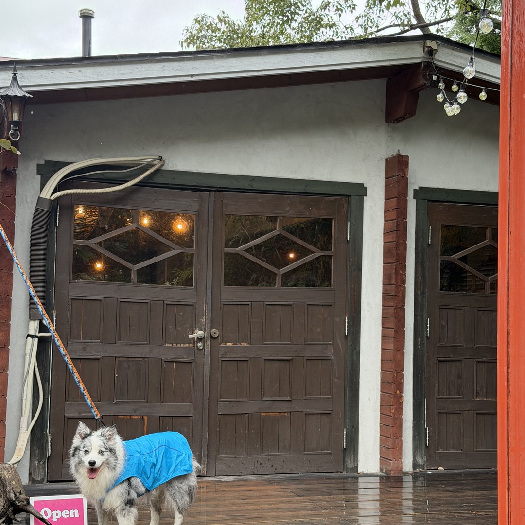 愛犬とカフェの入口