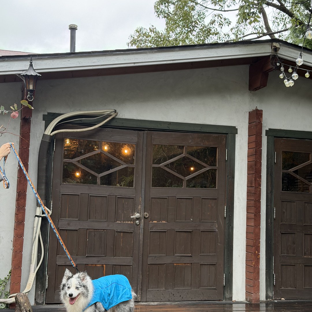 愛犬と IN THE HOUSE 外観