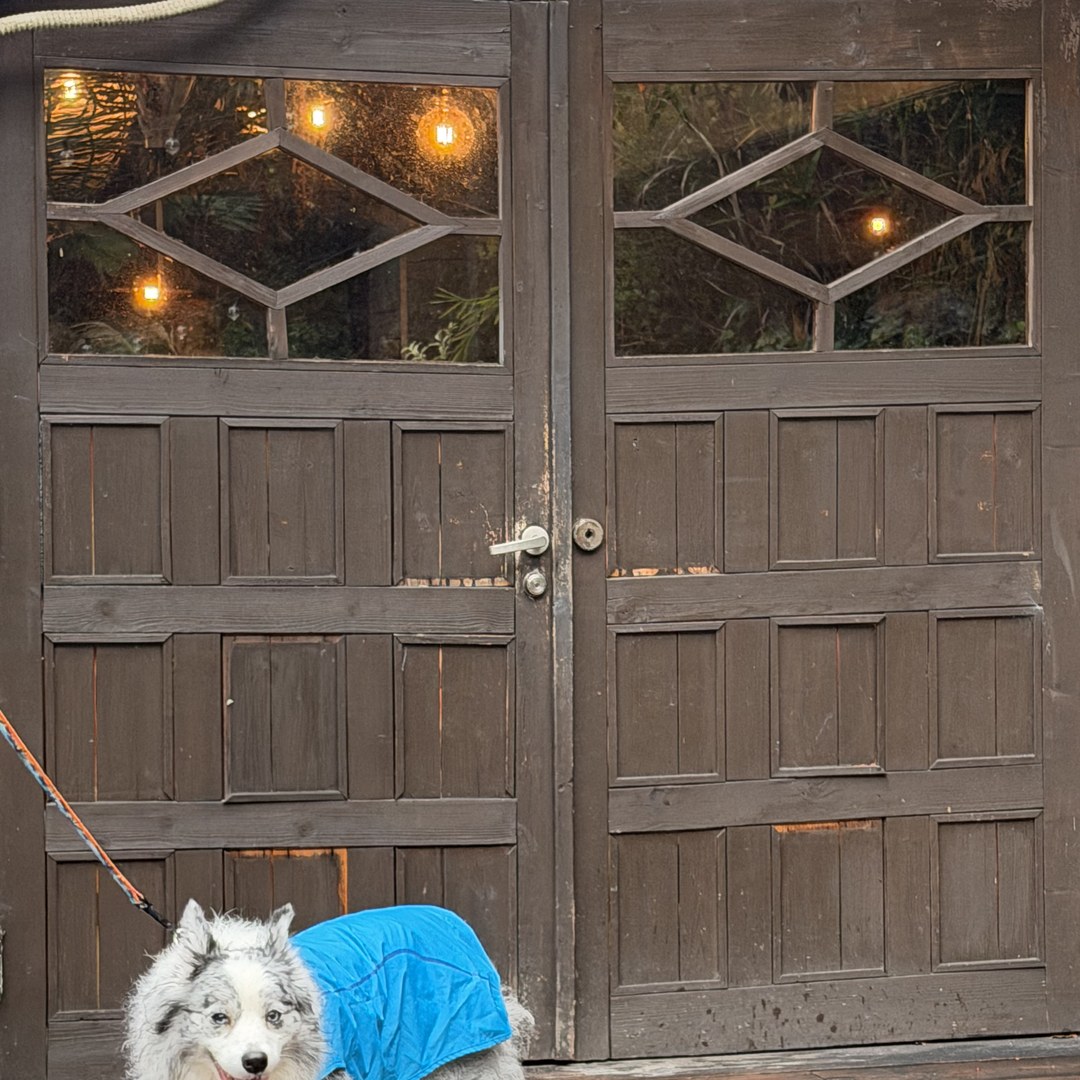 IN THE HOUSE 格子窓の入口扉