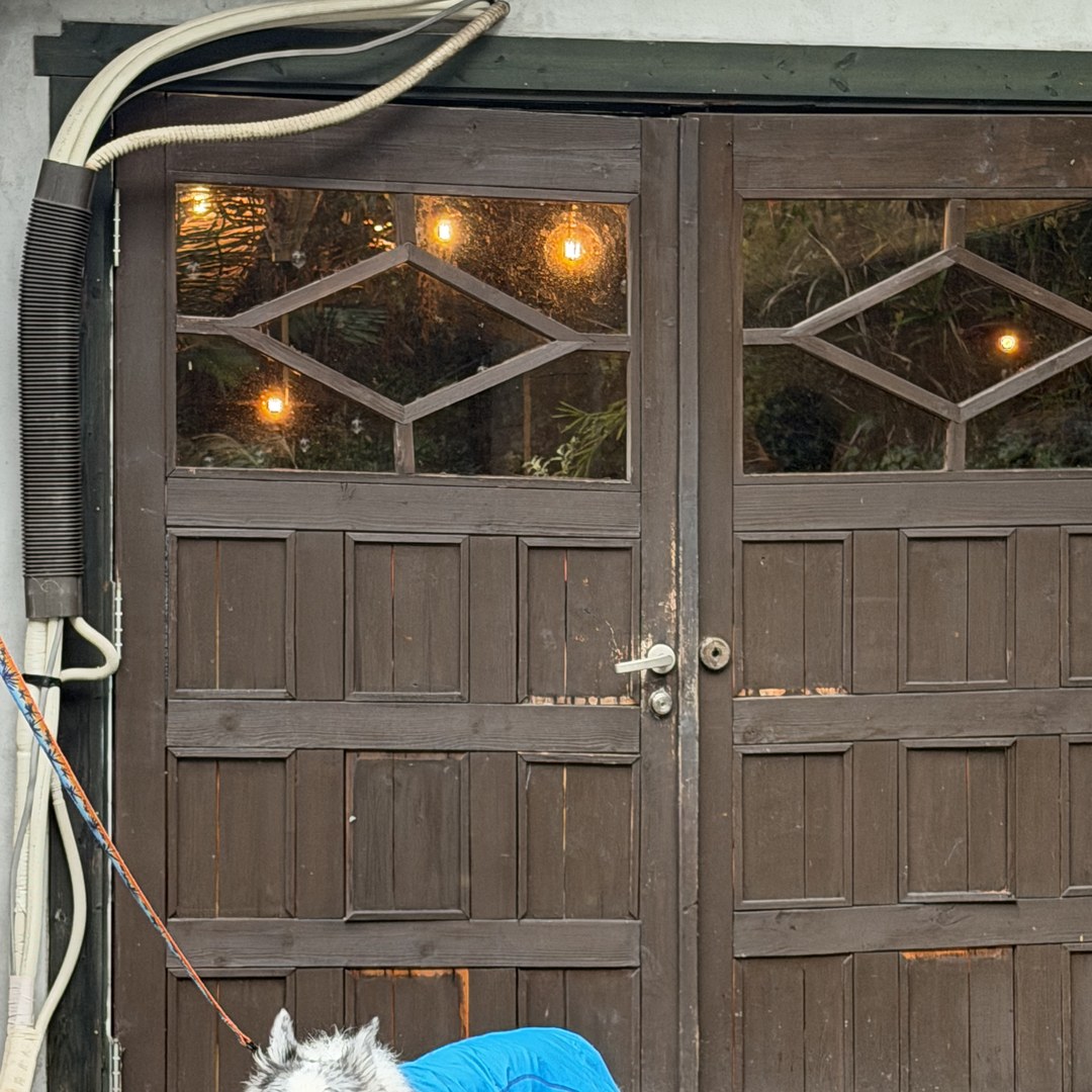 IN THE HOUSE 外観と山の緑